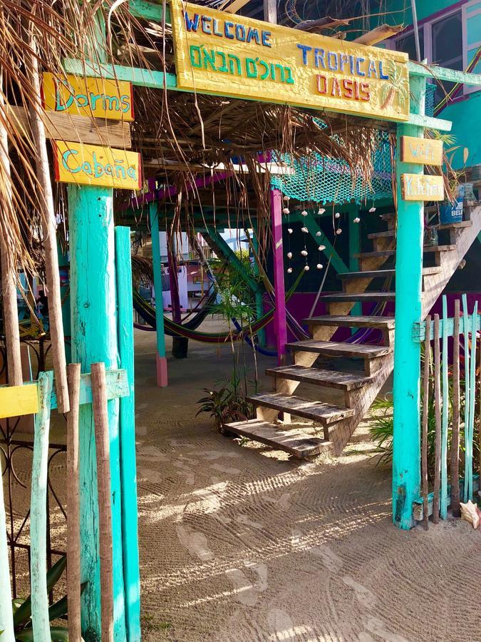 Tropical Oasis Albergue Caye Corker Exterior foto