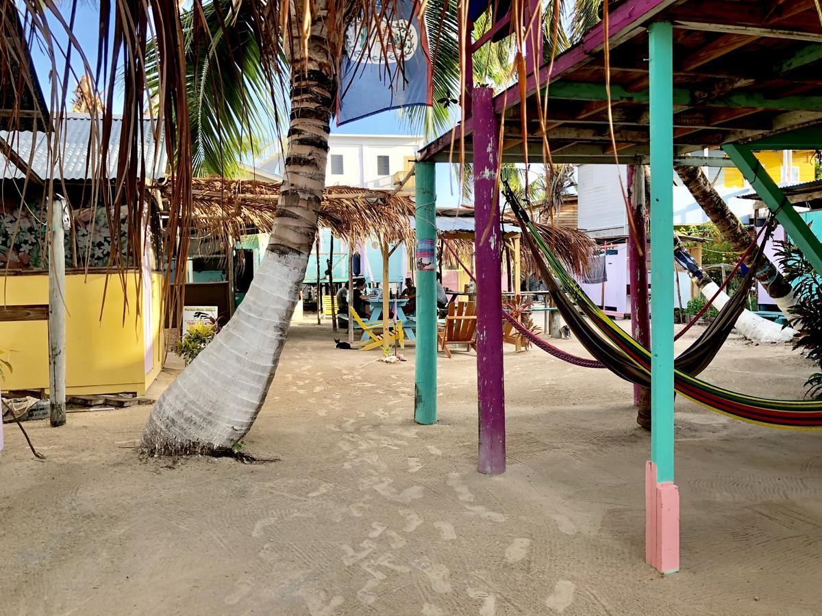 Tropical Oasis Albergue Caye Corker Exterior foto
