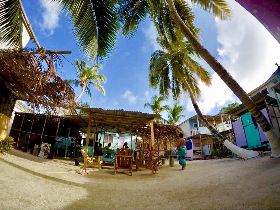 Tropical Oasis Albergue Caye Corker Exterior foto